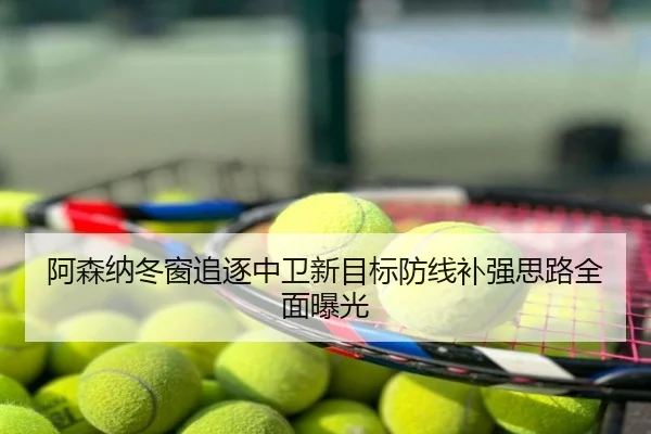 阿森纳冬窗追逐中卫新目标防线补强思路全面曝光