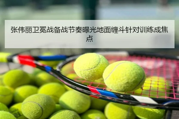 张伟丽卫冕战备战节奏曝光地面缠斗针对训练成焦点