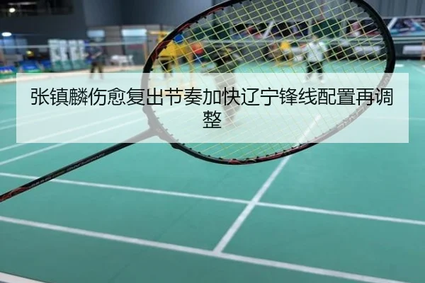 张镇麟伤愈复出节奏加快辽宁锋线配置再调整