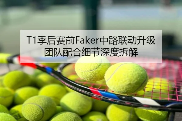 T1季后赛前Faker中路联动升级团队配合细节深度拆解